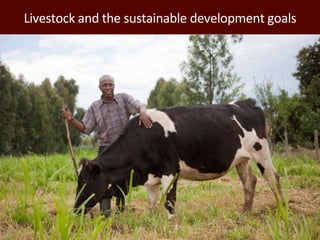 Improving environmental sustainability of livestock systems in the developing world