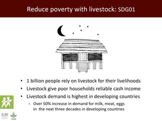 Improving environmental sustainability of livestock systems in the developing world