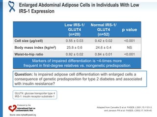 Source: www.myhealthywaist.org
Low IRS-1/
GLUT4
(n=20)
Normal IRS-1/
GLUT4
(n=52)
p value
Cell size (µg/cell) 0.55 ± 0.03 0.42 ± 0.02 <0.001
Body mass index (kg/m2) 25.8 ± 0.6 24.6 ± 0.4 NS
Waist-to-hip ratio 0.92 ± 0.02 0.84 ± 0.01 <0.001
Markers of impaired differentiation is ~4-times more
frequent in first-degree relatives vs. nongenetic predisposition
Question: Is impaired adipose cell differentiation with enlarged cells a
consequence of genetic predisposition for type 2 diabetes and associated
with insulin resistance?
Adapted from Carvalho E et al. FASEB J 2001;15:1101-3
and Jansson PA et al. FASEB J 2003;17:1434-40
GLUT4: glucose transporter type 4
IRS-1: insulin receptor substrate-1
Enlarged Abdominal Adipose Cells in Individuals With Low
IRS-1 Expression
 