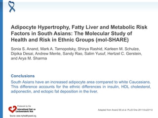 Source: www.myhealthywaist.org
Adipocyte Hypertrophy, Fatty Liver and Metabolic Risk
Factors in South Asians: The Molecular Study of
Health and Risk in Ethnic Groups (mol-SHARE)
Sonia S. Anand, Mark A. Tarnopolsky, Shirya Rashid, Karleen M. Schulze,
Dipika Desai, Andrew Mente, Sandy Rao, Salim Yusuf, Hertzel C. Gerstein,
and Arya M. Sharma
Conclusions
South Asians have an increased adipocyte area compared to white Caucasians.
This difference accounts for the ethnic differences in insulin, HDL cholesterol,
adiponectin, and ectopic fat deposition in the liver.
Adapted from Anand SS et al. PLoS One 2011;6:e22112
 