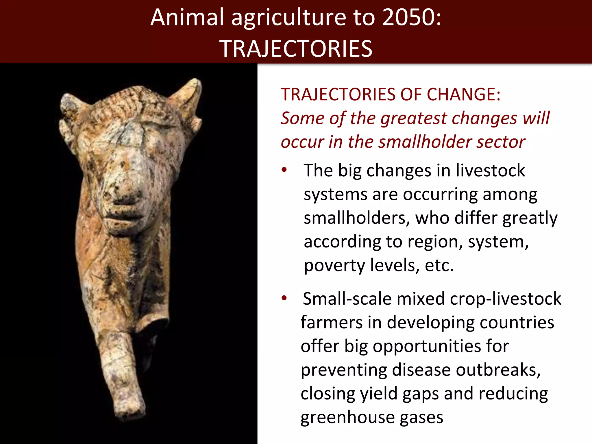 Animal agriculture to 2050:
TRAJECTORIES
TRAJECTORIES OF CHANGE:
Some of the greatest changes will
occur in the smallholder sector
• The big changes in livestock
systems are occurring among
smallholders, who differ greatly
according to region, system,
poverty levels, etc.
• Small-scale mixed crop-livestock
farmers in developing countries
offer big opportunities for
preventing disease outbreaks,
closing yield gaps and reducing
greenhouse gases

 