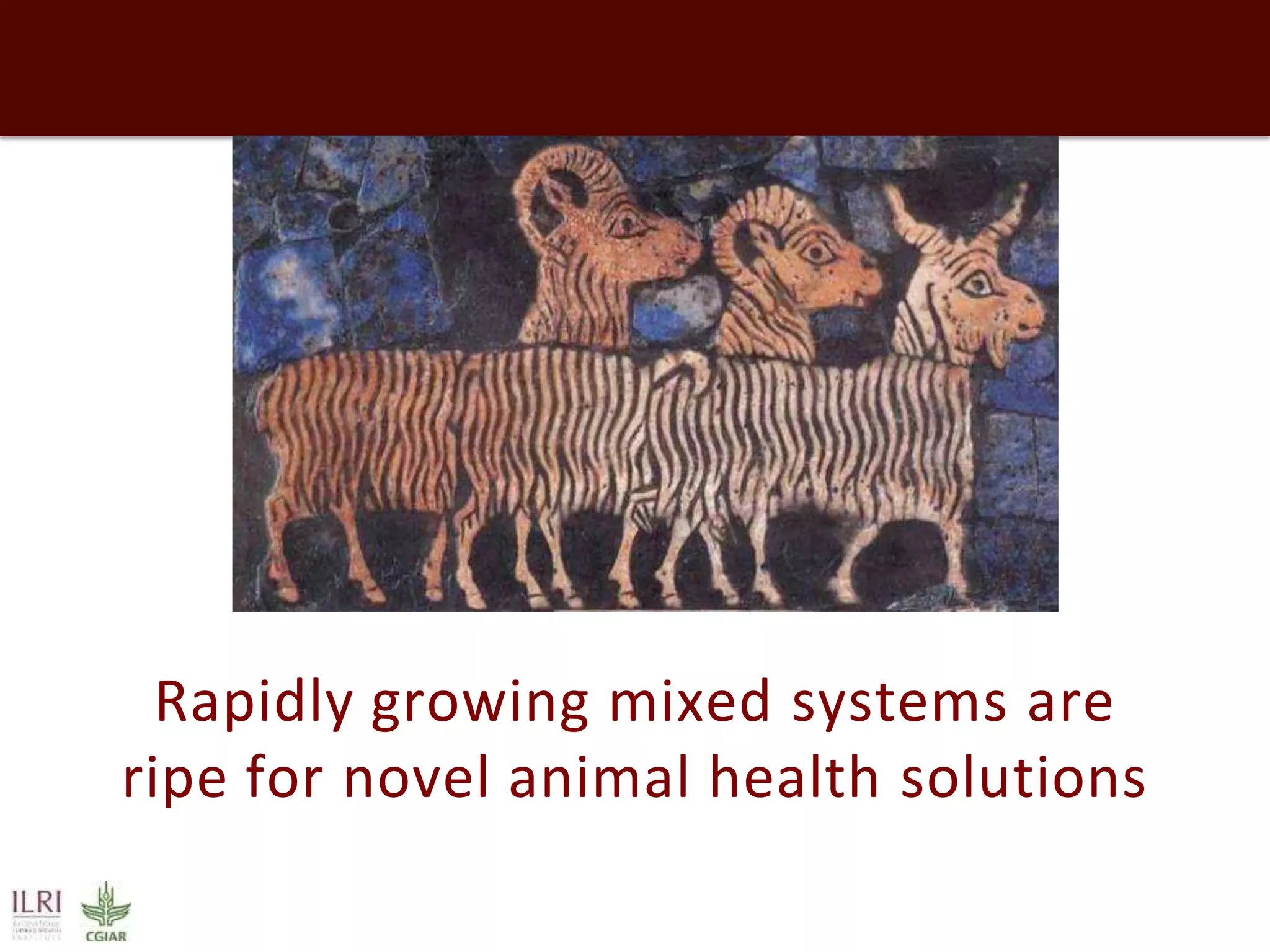 Rapidly growing mixed systems are
ripe for novel animal health solutions

 