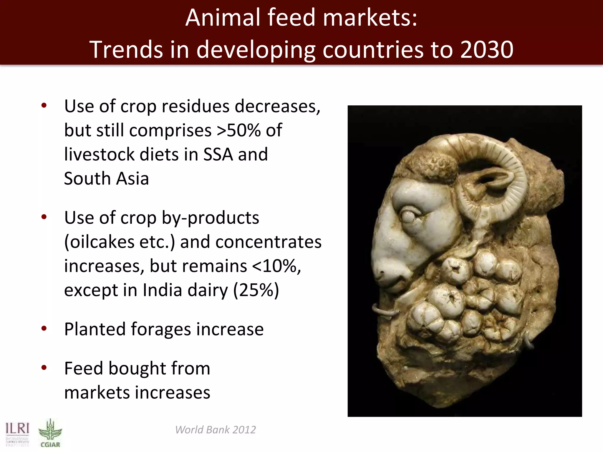 Animal feed markets:
Trends in developing countries to 2030
• Use of crop residues decreases,
but still comprises >50% of
livestock diets in SSA and
South Asia
• Use of crop by-products
(oilcakes etc.) and concentrates
increases, but remains <10%,
except in India dairy (25%)
• Planted forages increase
• Feed bought from
markets increases
World Bank 2012

 