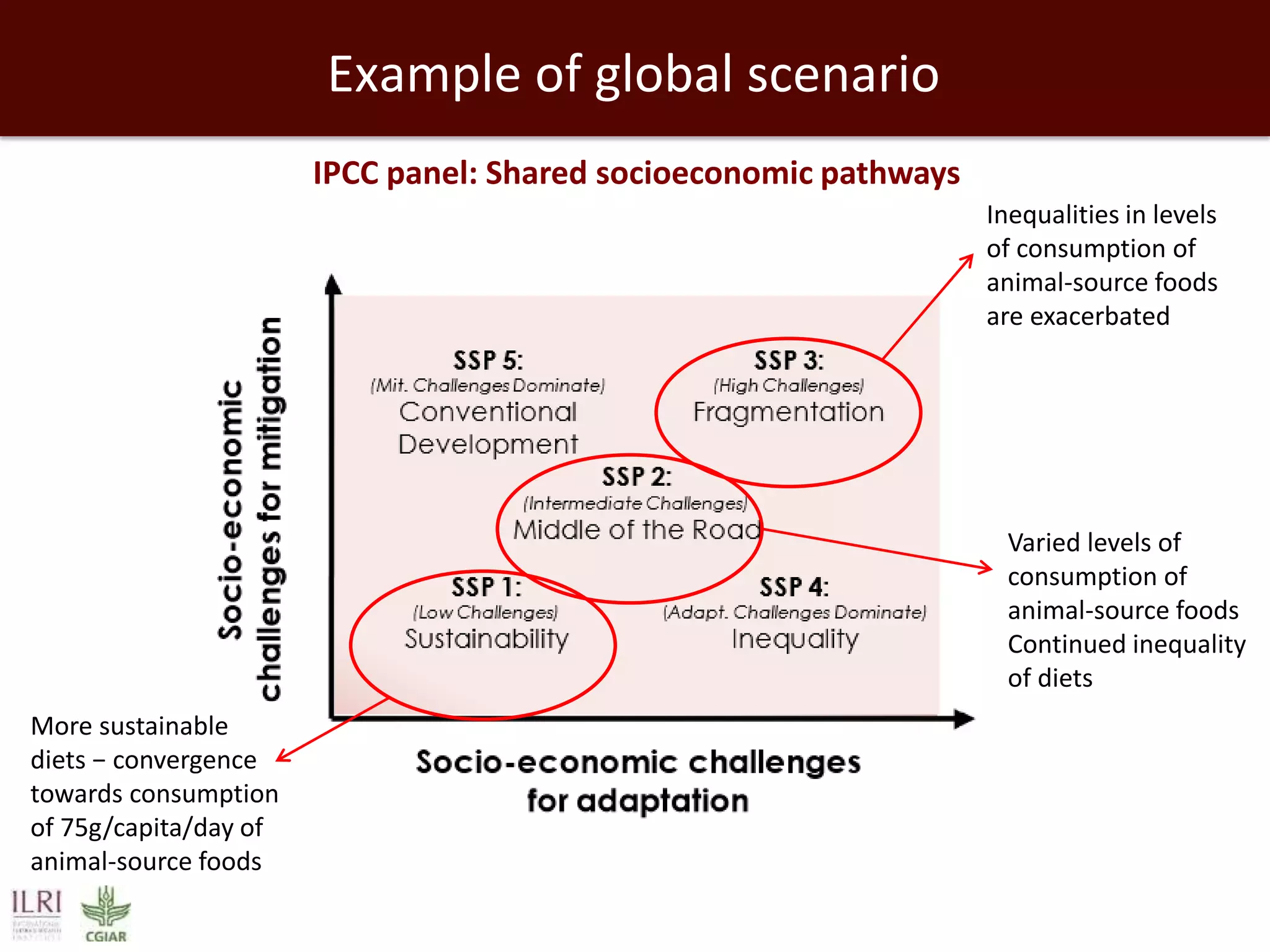 Example of global scenario
IPCC panel: Shared socioeconomic pathways
Inequalities in levels
of consumption of
animal-source foods
are exacerbated

Varied levels of
consumption of
animal-source foods
Continued inequality
of diets
More sustainable
diets − convergence
towards consumption
of 75g/capita/day of
animal-source foods

 