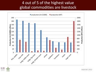 Evolution of animal production in emerging markets: China, Russia, India, Brazil, Africa