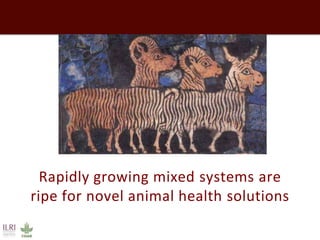 Evolution of animal production in emerging markets: China, Russia, India, Brazil, Africa
