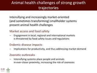 Evolution of animal production in emerging markets: China, Russia, India, Brazil, Africa