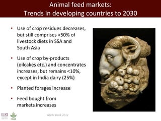 Evolution of animal production in emerging markets: China, Russia, India, Brazil, Africa