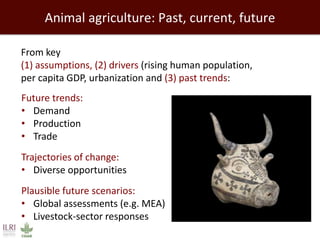Evolution of animal production in emerging markets: China, Russia, India, Brazil, Africa