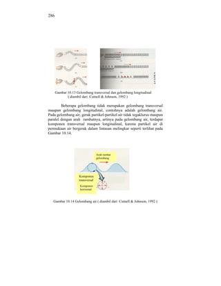286




      Gambar 10.13 Gelombang transversal dan gelombang longitudinal
             ( diambil dari Cutnell & Johnson, 1992 )

        Beberapa gelombang tidak merupakan gelombang transversal
maupun gelombang longitudinal, contohnya adalah gelombang air.
Pada gelombang air, gerak partikel-partikel air tidak tegaklurus maupun
paralel dengan arah rambatnya, artinya pada gelombang air, terdapat
komponen transversal maupun longitudinal, karena partikel air di
permukaan air bergerak dalam lintasan melingkar seperti terlihat pada
Gambar 10.14.




                                   Arah rambat
                                   gelombang




                     Komponen
                     transversal
                     Komponen
                     horisontal



   Gambar 10.14 Gelombang air ( diambil dari Cutnell & Johnson, 1992 )
 