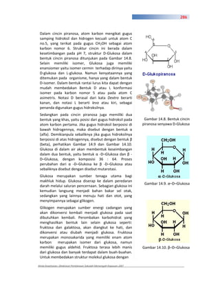 286



 Dalam cincin piranosa, atom karbon mengikat gugus
 samping hidroksil dan hidrogen kecuali untuk atom C
 no.5, yang terikat pada gugus CH2OH sebagai atom
 karbon nomor 6. Struktur cincin ini berada dalam
 kesetimbangan pada pH 7, struktur D Glukosa dalam
 bentuk cincin piranosa ditunjukan pada Gambar 14.8.
 Selain memiliki isomer, Glukosa juga memiliki
 enansiomer yaitu isomer cermin terhadap dirinya yaitu
 D glukosa dan L glukosa. Namun kenyataannya yang
 ditemukan pada organisme, hanya yang dalam bentuk
 D isomer. Dalam bentuk rantai lurus kita dapat dengan
 mudah membedakan Bentuk D atau L konformasi
 isomer pada karbon nomor 5 atau pada atom C
 asimetris. Notasi D berasal dari kata Dextro berarti
 kanan, dan notasi L berarti levo atau kiri, sebagai
 penanda digunakan gugus hidroksilnya.
 Sedangkan pada cincin piranosa juga memiliki dua
 bentuk yang khas, yaitu posisi dari gugus hidroksil pada               Gambar 14.8. Bentuk cincin
 atom karbon pertama. Jika gugus hidroksil berposisi di                piranosa senyawa D Glukosa
 bawah hidrogennya, maka disebut dengan bentuk
 (alfa). Demikianpula sebaliknya jika gugus hidroksilnya
 berposisi di atas hidrogennya, disebut dengan bentuk
 (beta), perhatikan Gambar 14.9 dan Gambar 14.10.
 Glukosa di dalam air akan membentuk keseimbangan
 dalam dua bentuk, yaitu bentuk       D–Glukosa dan
 D–Glukosa, dengan komposisi 36 : 64. Proses
 perubahan dari        D–Glukosa ke      D–Glukosa atau
 sebaliknya disebut dengan disebut mutarotasi.
 Glukosa merupakan sumber tenaga utama bagi
 makhluk hidup. Glukosa diserap ke dalam peredaran
                                                                        Gambar 14.9. –D–Glukosa
 darah melalui saluran pencernaan. Sebagian glukosa ini
 kemudian langsung menjadi bahan bakar sel otak,
 sedangkan yang lainnya menuju hati dan otot, yang
 menyimpannya sebagai glikogen.
 Glikogen merupakan sumber energi cadangan yang
 akan dikonversi kembali menjadi glukosa pada saat
 dibutuhkan kembali. Perombakan karbohidrat yang
 menghasilkan bentuk lain selain glukosa seperti:
 fruktosa dan galaktosa, akan diangkut ke hati, dan
 dikonversi atau diubah menjadi glukosa. Fruktosa
 merupakan monosakarida yang memiliki enam atom
 karbon     merupakan isomer dari glukosa, namun
 memiliki gugus aldehid. Fruktosa terasa lebih manis                   Gambar 14.10. –D–Glukosa
 dari glukosa dan banyak terdapat dalam buah buahan.
 Untuk membedakan struktur molekul glukosa dengan

Kimia Kesehatan, Direktorat Pembinaan Sekolah Menengah Kejuruan 2007
 