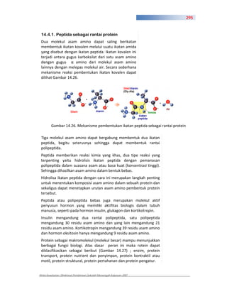 295



 14.4.1. Peptida sebagai rantai protein
 Dua molekul asam amino dapat saling berikatan
 membentuk ikatan kovalen melalui suatu ikatan amida
 yang disebut dengan ikatan peptida. Ikatan kovalen ini
 terjadi antara gugus karboksilat dari satu asam amino
 dengan gugus        amino dari molekul asam amino
 lainnya dengan melepas molekul air. Secara sederhana
 mekanisme reaksi pembentukan ikatan kovalen dapat
 dilihat Gambar 14.26.




         Gambar 14.26. Mekanisme pembentukan ikatan peptida sebagai rantai protein

 Tiga molekul asam amino dapat bergabung membentuk dua ikatan
 peptida, begitu seterusnya sehingga dapat membentuk rantai
 polipeptida.
 Peptida memberikan reaksi kimia yang khas, dua tipe reaksi yang
 terpenting yaitu hidrolisis ikatan peptida dengan pemanasan
 polipeptida dalam suasana asam atau basa kuat (konsentrasi tinggi).
 Sehingga dihasilkan asam amino dalam bentuk bebas.
 Hidrolisa ikatan peptida dengan cara ini merupakan langkah penting
 untuk menentukan komposisi asam amino dalam sebuah protein dan
 sekaligus dapat menetapkan urutan asam amino pembentuk protein
 tersebut.
 Peptida atau polipeptida bebas juga merupakan molekul aktif
 penyusun hormon yang memiliki aktifitas biologis dalam tubuh
 manusia, seperti pada hormon insulin, glukagon dan kortikotropin.
 Insulin mengandung dua rantai polipeptida, satu polipeptida
 mengandung 30 residu asam amino dan yang lain mengandung 21
 residu asam amino. Kortikotropin mengandung 39 residu asam amino
 dan hormon oksitosin hanya mengandung 9 residu asam amino.
 Protein sebagai makromolekul (molekul besar) mampu menunjukkan
 berbagai fungsi biologi. Atas dasar peran ini maka rotein dapat
 diklasifikasikan sebagai berikut (Gambar 14.27) ; enzim, protein
 transport, protein nutrient dan penyimpan, protein kontraktil atau
 motil, protein struktural, protein pertahanan dan protein pengatur.


Kimia Kesehatan, Direktorat Pembinaan Sekolah Menengah Kejuruan 2007
 