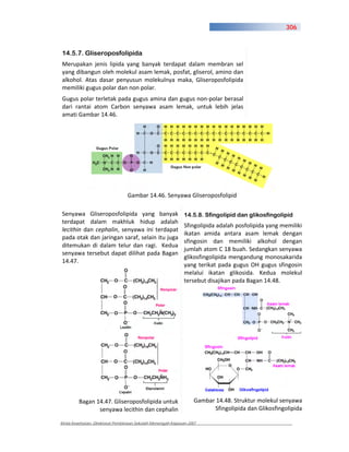 306



14.5.7. Gliseroposfolipida
Merupakan jenis lipida yang banyak terdapat dalam membran sel
yang dibangun oleh molekul asam lemak, posfat, gliserol, amino dan
alkohol. Atas dasar penyusun molekulnya maka, Gliseroposfolipida
memiliki gugus polar dan non polar.
Gugus polar terletak pada gugus amina dan gugus non polar berasal
dari rantai atom Carbon senyawa asam lemak, untuk lebih jelas
amati Gambar 14.46.




                                 Gambar 14.46. Senyawa Gliseroposfolipid

Senyawa Gliseroposfolipida yang banyak                        14.5.8. Sfingolipid dan glikosfingolipid
terdapat dalam makhluk hidup adalah
                                                              Sfingolipida adalah posfolipida yang memiliki
lecithin dan cephalin, senyawa ini terdapat
                                                              ikatan amida antara asam lemak dengan
pada otak dan jaringan saraf, selain itu juga
                                                              sfingosin dan memiliki alkohol dengan
ditemukan di dalam telur dan ragi. Kedua
                                                              jumlah atom C 18 buah. Sedangkan senyawa
senyawa tersebut dapat dilihat pada Bagan
                                                              glikosfingolipida mengandung monosakarida
14.47.
                                                              yang terikat pada gugus OH gugus sfingosin
                                                              melalui ikatan glikosida. Kedua molekul
                                                              tersebut disajikan pada Bagan 14.48.




         Bagan 14.47. Gliseroposfolipida untuk                    Gambar 14.48. Struktur molekul senyawa
                senyawa lecithin dan cephalin                           Sfingolipida dan Glikosfingolipida

Kimia Kesehatan, Direktorat Pembinaan Sekolah Menengah Kejuruan 2007
 