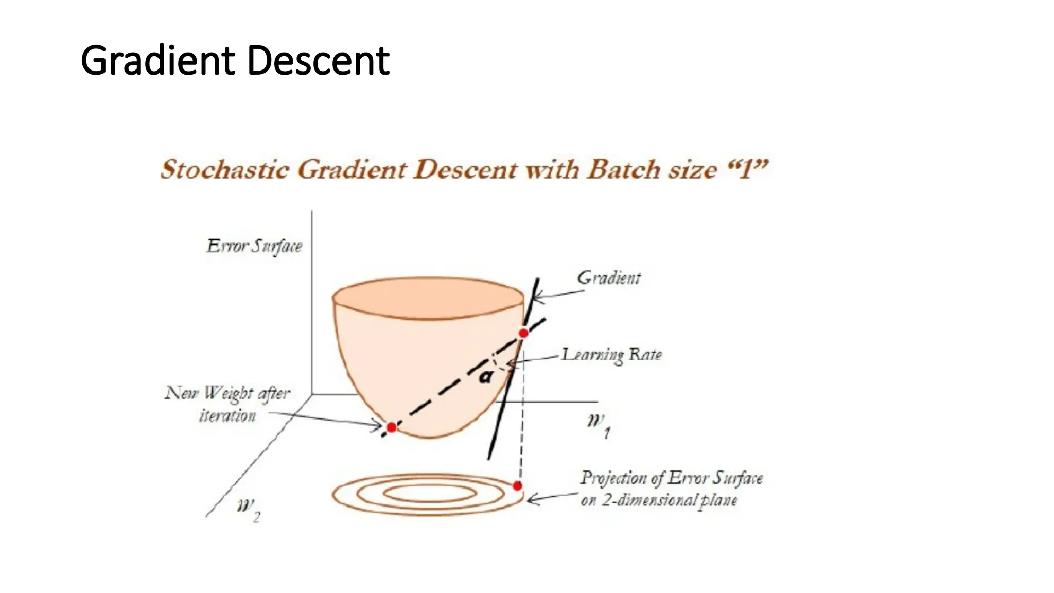 Gradient Descent
 