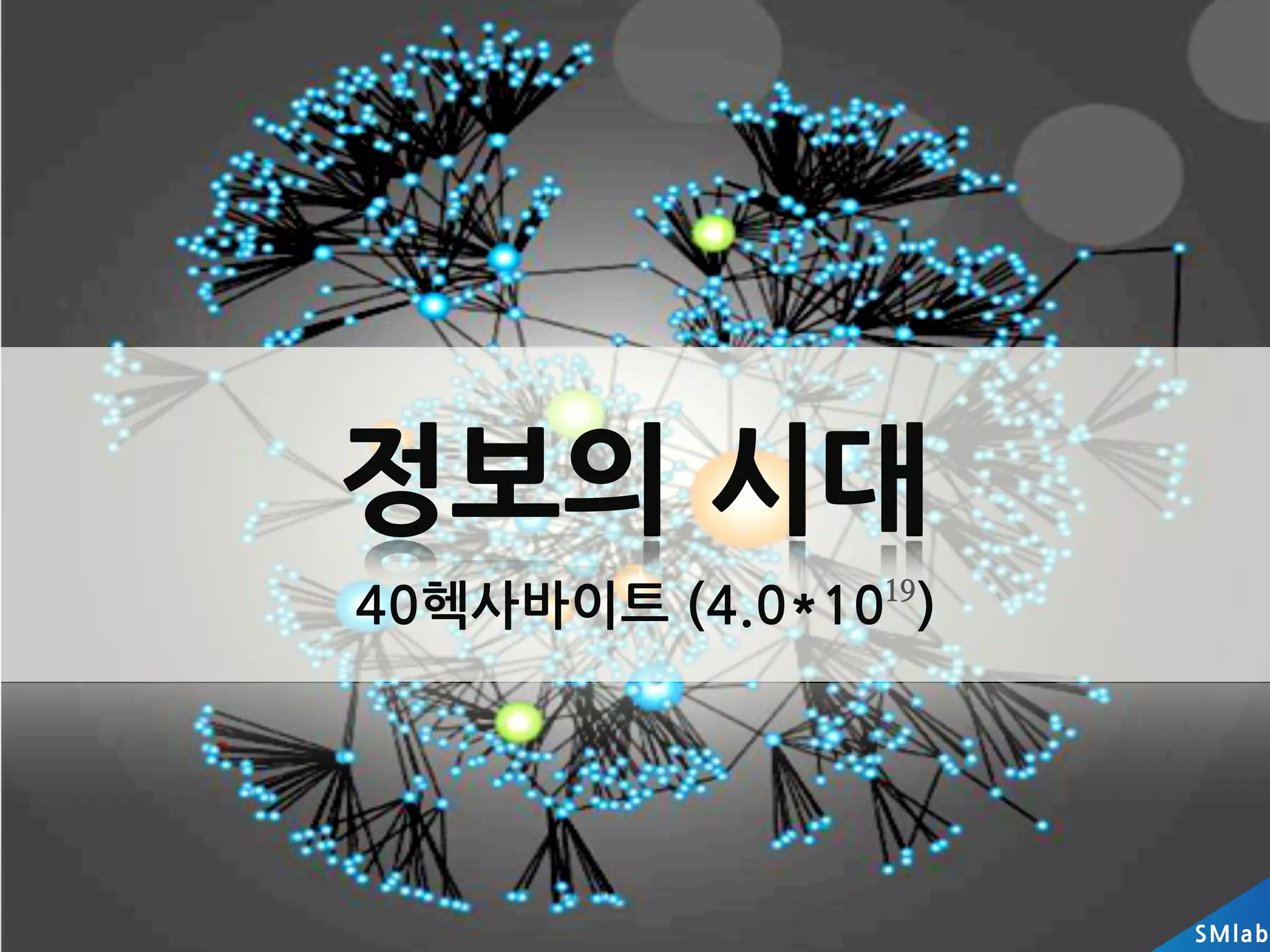 정보의시대
40헥사바이트(4.0*10)
                                   19




                                          SM la b
 