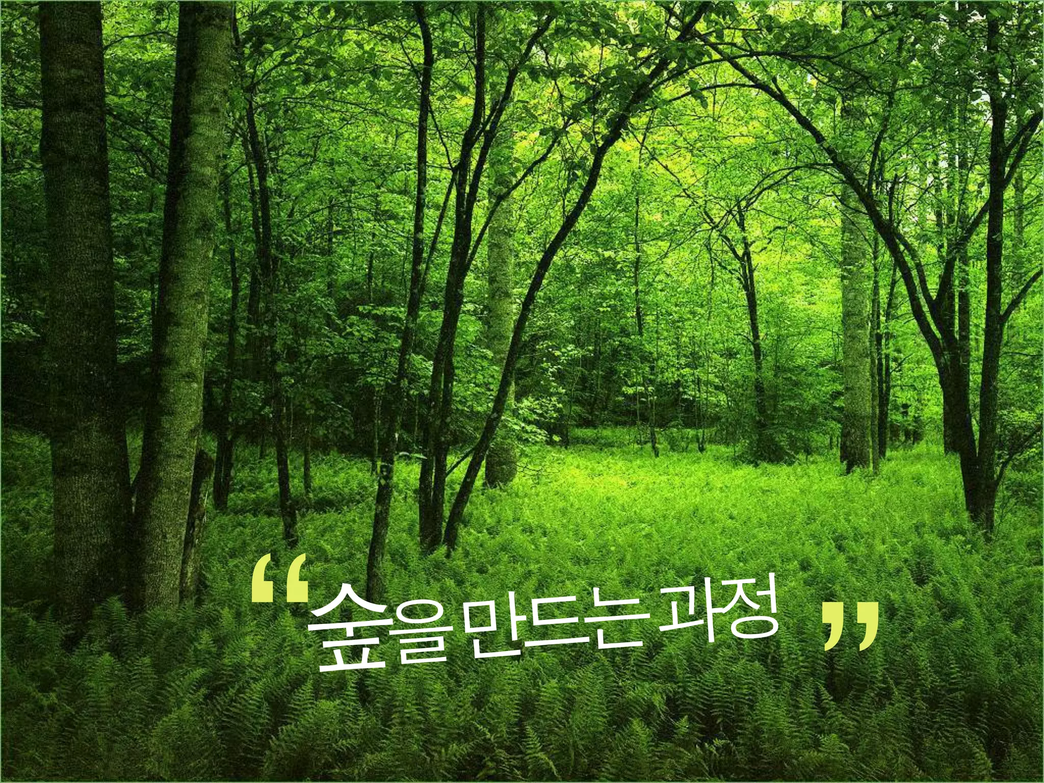 “
숲을만드는과정
          ”
 