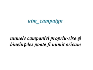 utm_campaignnumele campaniei propriu-ziseși bineînțeles poate fi numit oricum