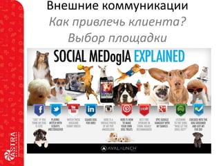 Внешние коммуникации
Как привлечь клиента?
Выбор площадки

 