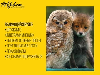 взаимодействуйте
•Дружимс
«лидерамимнений»
•пишемгостевые посты
•приглашаемв гости
•показываем,
Какс намиподружитъся
 