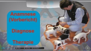 Anamnese
(Vorbericht)
Diagnose
Therapie
docgoy Twitt.Erfolg Twitt-Erfolg.de
 