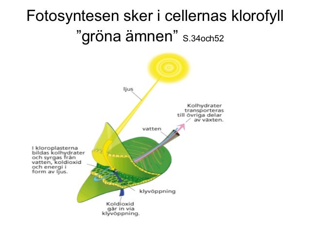 Vad är En Atom Enkel Förklaring