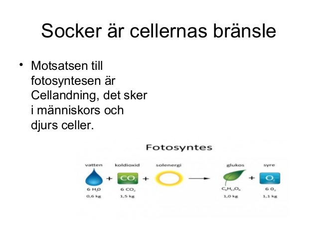 Vad är En Atom Enkel Förklaring