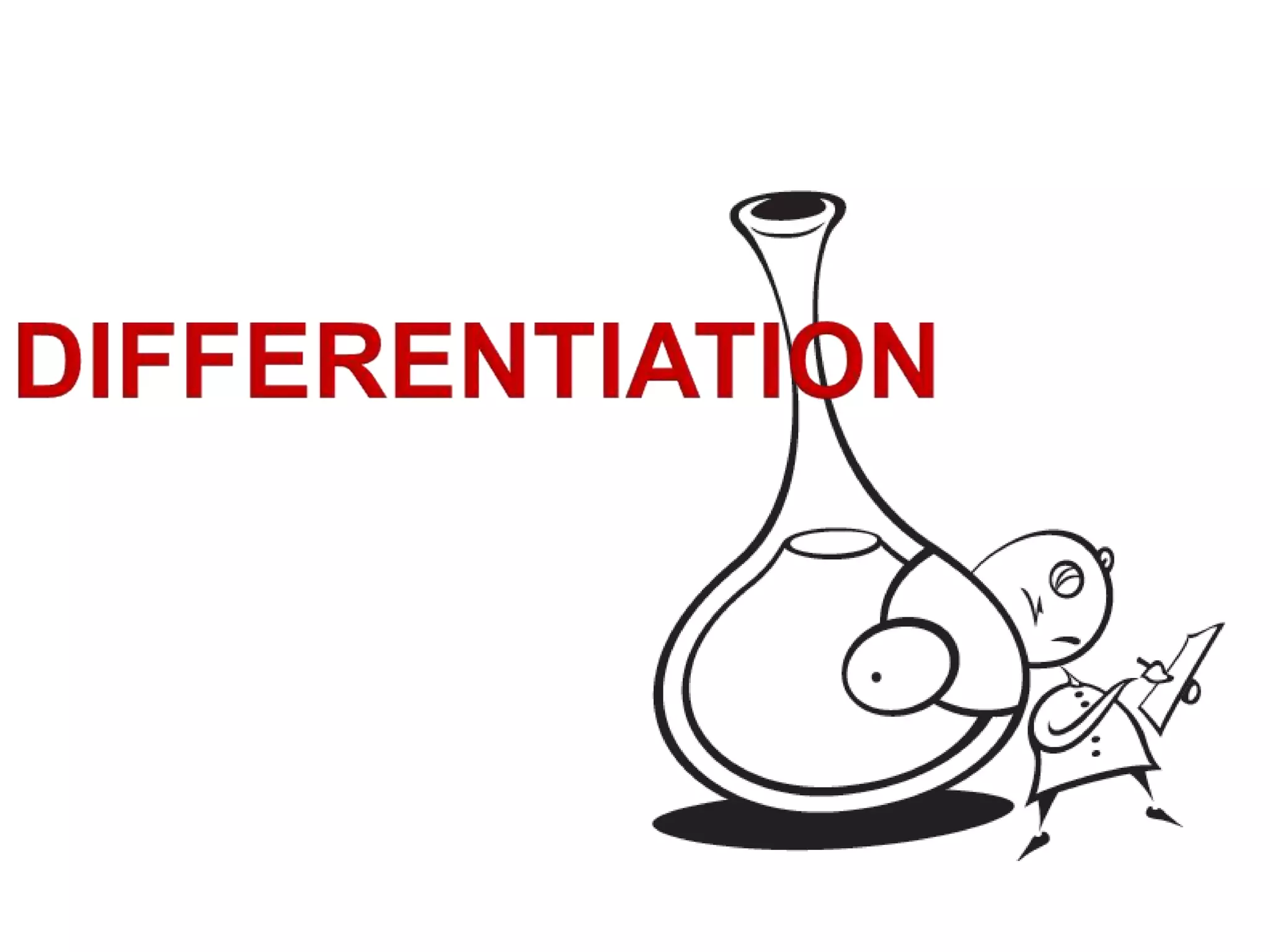 TOP 10 Reasons to BLOG!