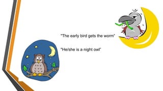 "The early bird gets the worm"
"He/she is a night owl”
 