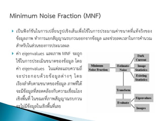    เป็ น ฟั ง ก์ ชั น ในการเปลี่ ย นรู ป เชิ ง เส้ น เพื่ อ ใช้ ใ นการประมาณค่ า ขนาดที่ แ ท้ จ ริ ง ของ
    ข้อมูลภาพ ทาการแยกสัญญาณรบกวนออกจากข้อมูล และช่วยลดเวลาในการคานวณ
    สาหรับในส่วนของการประมวลผล
   ค่า eigenvalues และภาพ MNF จะถูก
    ใช้ในการประเมินขนาดของข้อมูล โดย
    ค่า eigenvalues ในแต่ละแถบความถี่
    จะประกอบด้ ว ยข้ อ มู ล ต่ า ง ๆ โดย
    เรียงลาดับตามขนาดของข้อมูล ภาพที่ได้
    จะมีข้อมูลที่สอดคล้องกับความเชื่อมโยง
    เชิงพื้นที่ ในขณะที่ภาพสัญญาณรบกวน
    จะไม่มีข้อมูลในเชิงพื้นที่เลย
 
