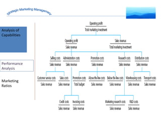 Analysis of Capabilities Marketing Ratios Strategic Marketing Management Performance Analysis 