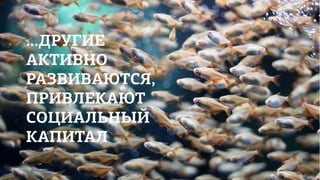 ...ДРУГИЕ
               ...ДРУГИЕ
АКТИВНО
               АКТИВНО
РАЗВИВАЮТСЯ,
               ПРИВЛЕКАЮТ
ПРИВЛЕКАЮТ
               СОЦИАЛЬНЫЙ
СОЦИАЛЬНЫЙ
               КАПИТАЛ
КАПИТАЛ
 