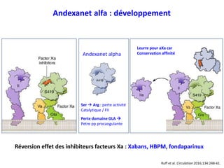 Réversion effet des inhibiteurs facteurs Xa : Xabans, HBPM, fondaparinux
Andexanet alfa : développement
Ruff et al. Circulation 2016;134:248-61.
Leurre pour aXa car
Conservation affinitéAndexanet alpha
Perte domaine GLA 
Petre pp procaogulante
Ser  Arg : perte activité
Catalytique / FII
 
