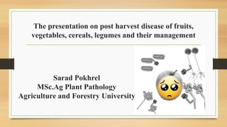 The presentation on post harvest disease of fruits,
vegetables, cereals, legumes and their management
Sarad Pokhrel
MSc.Ag Plant Pathology
Agriculture and Forestry University
 