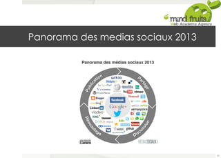 Panorama des medias sociaux 2013 
33 
 