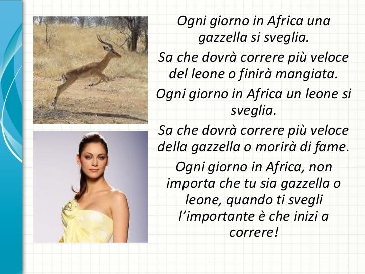 Ogni Giorno Una Gazzella Si Sveglia Parodia