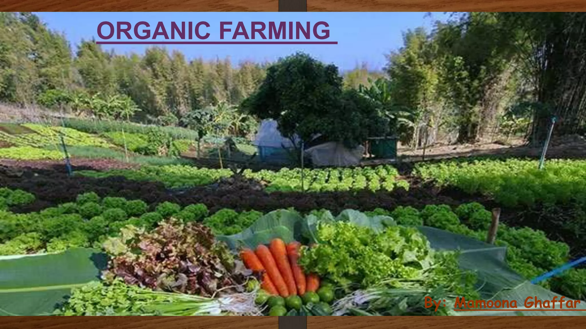 By: Mamoona Ghaffar
ORGANIC FARMING
 