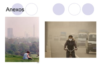 Anexos

 