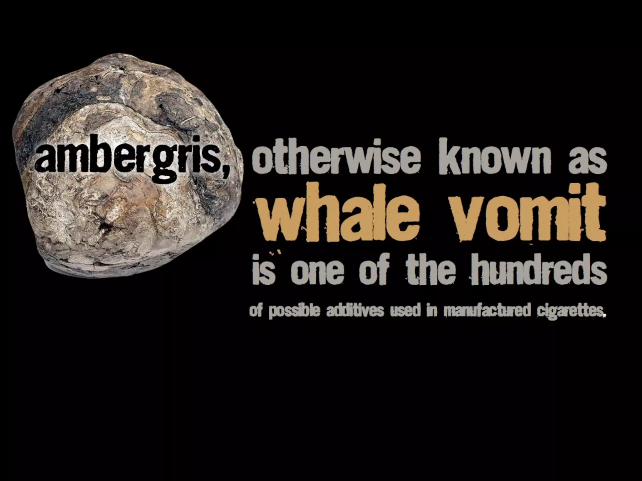 Radioactive lead
are both present in low
levels in cigarette smoke.
and polonium
 