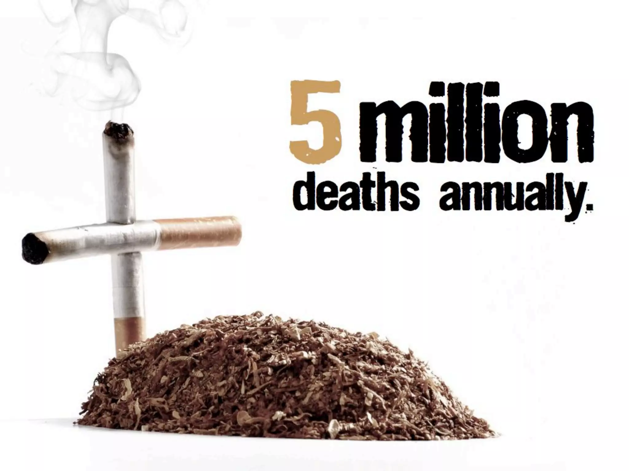 the population of the United states
 