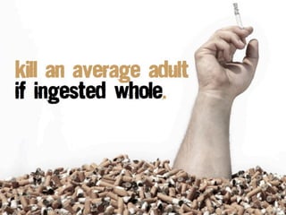 Whale Vomitis one of the hundreds
Ambergris, otherwise known as
of possible additives used in manufactured cigarettes.
 