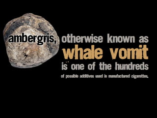 Radioactive lead
are both present in low
levels in cigarette smoke.
and polonium
 