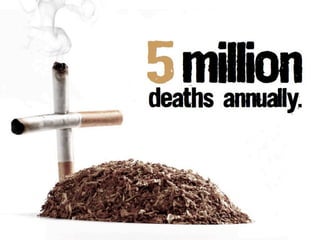 the population of the United states
 