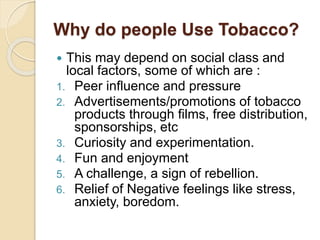 show me a tobacco plant Grow your own Tobacco? show me a tobacco plant Grow your own Tobacco?