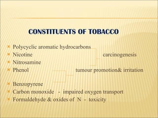 is nordic spirit tobacco free Nordic Spirit Frosty Mint Tobacco Free Nicotine Pouches MAX 20 Pack 17mg  14g - £3.99