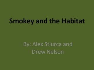 Smokey and the Habitat By: Alex Stiurca and Drew Nelson 