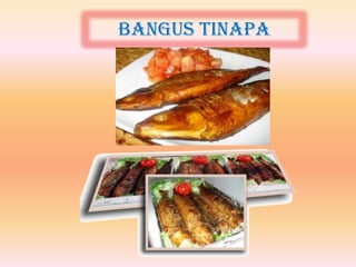 Bangus tinapa
 