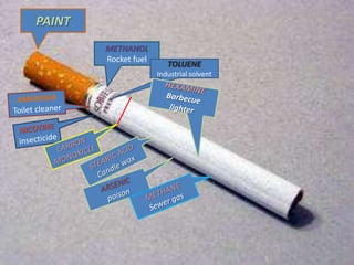 e cigarette cotton Pod King Cotton Ball