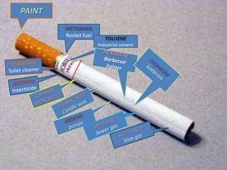 hiding cigarette smoke Best Incense & Smudge to Hide Cigarette Odors Naturally