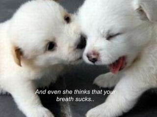 And even she thinks that your
breath sucks..
 
