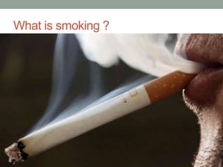 What is smoking ?
 